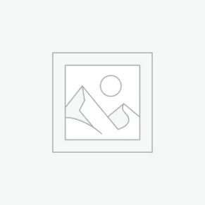 Substituent